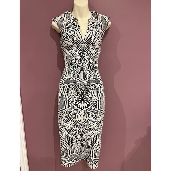 Ted Baker Dresses & Skirts - Ted Baker Monochrome dreas
